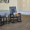 A cute dog on the Classic Porch Presidential Rocking Chair-Black in the backyard