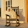 A dog sitting on the Traditional Porch Rocking Chair-Dark Gray