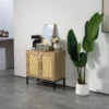 2-Door Wood Rattan Storage Cabinet-Natural in the livingroom