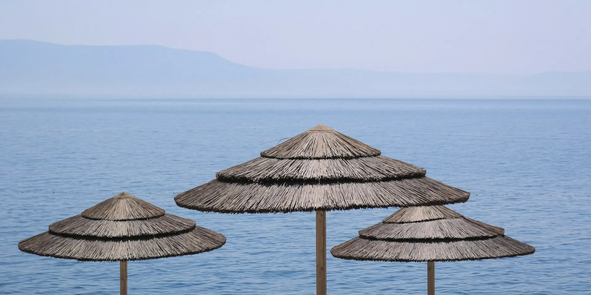 tropical style umbrella